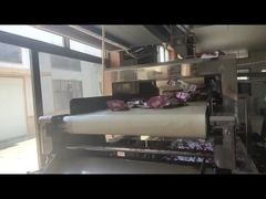 Détecteur de métaux réglable de hauteur et de longueur de ceinture pour l' inspection des objets