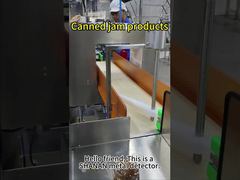 Découvrez pourquoi choisir le détecteur de métaux alimentaire SHANAN Security Inspection avec un poids léger