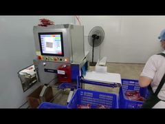 Machine industrielle d'inspection des aliments à rayons X pour le contrôle de la qualité