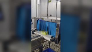 Système d'inspection à rayons X des aliments industriels SHANAN